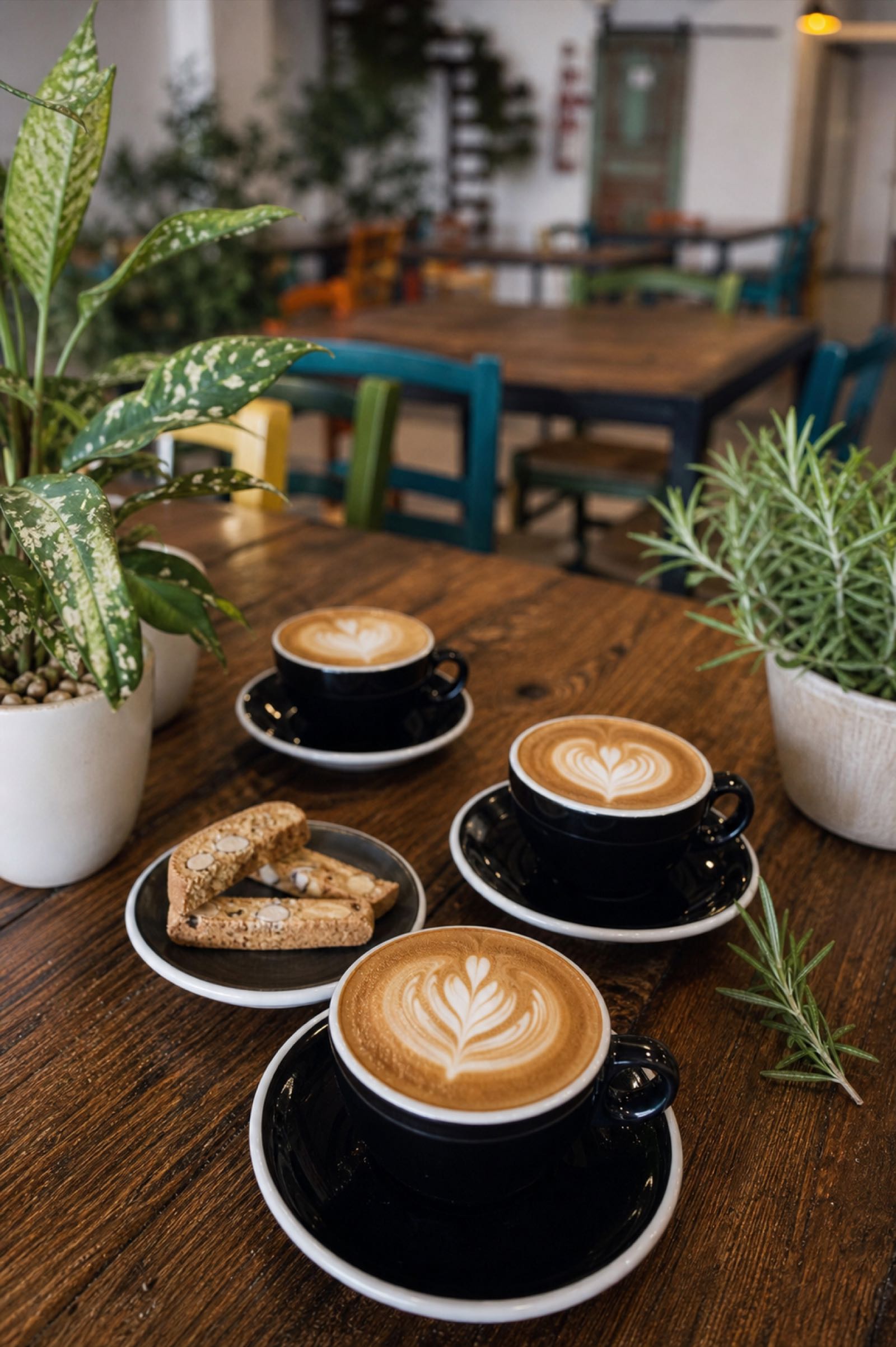 Cappuccini con latte art e biscotti su tavolo di legno da PitStop